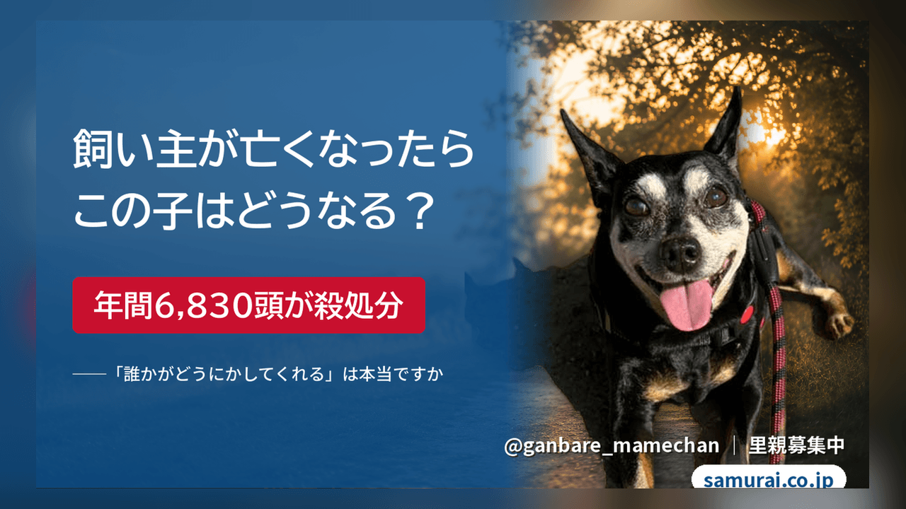 飼い主が亡くなったら、ペットはどうなる?──「誰かがどうにかしてくれる」の行き着く先